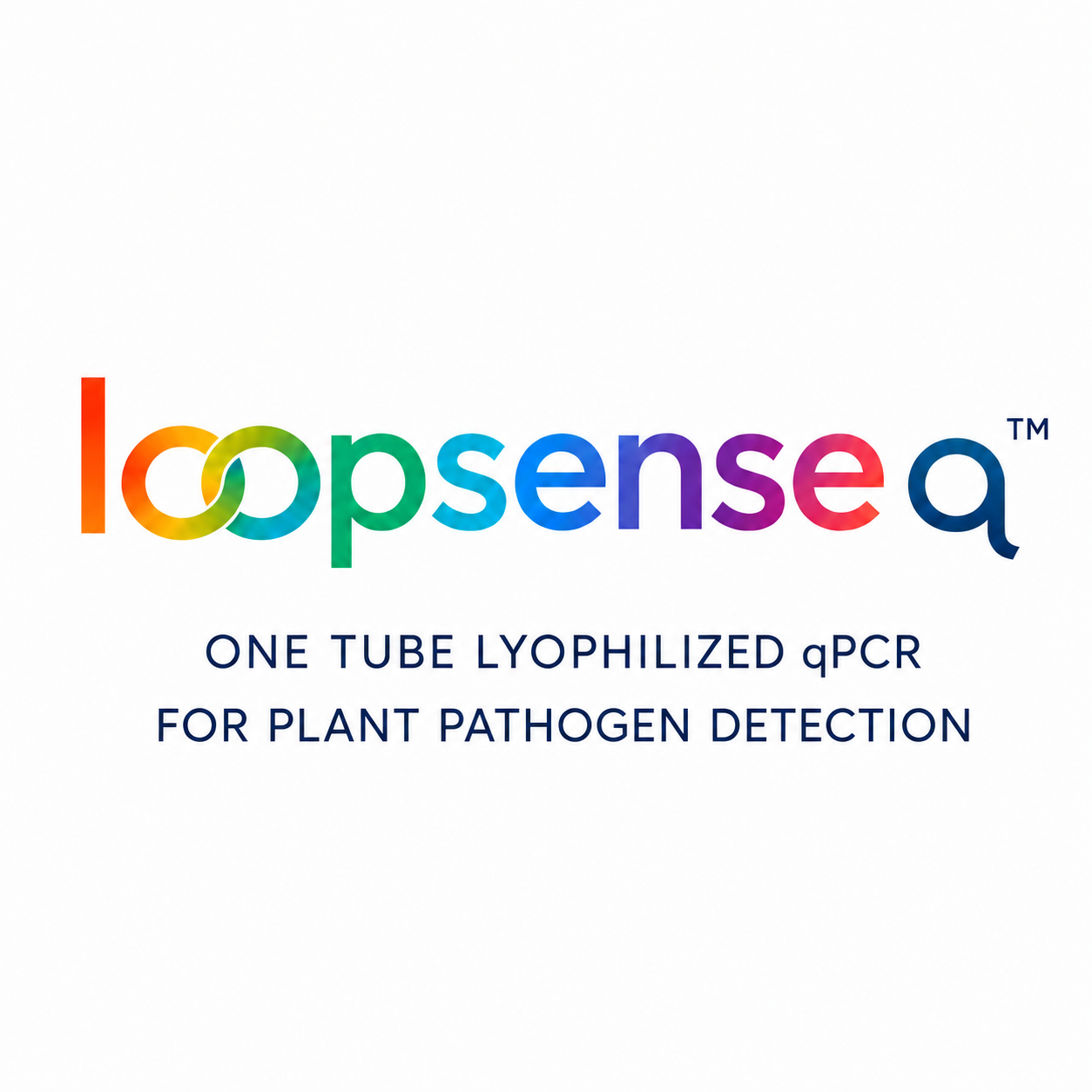 LoopSense Q, kits liofilizados qPCR y RT-qPCR